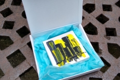 Mini Letterbox for PIP