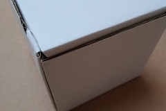 Packed up ecee-revealer