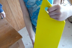 Carry handle on shoe box